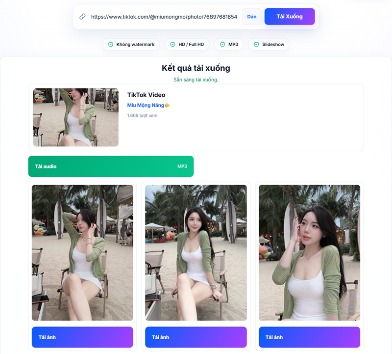 Cách Tải Ảnh/Slideshow TikTok Trên Máy Tính
