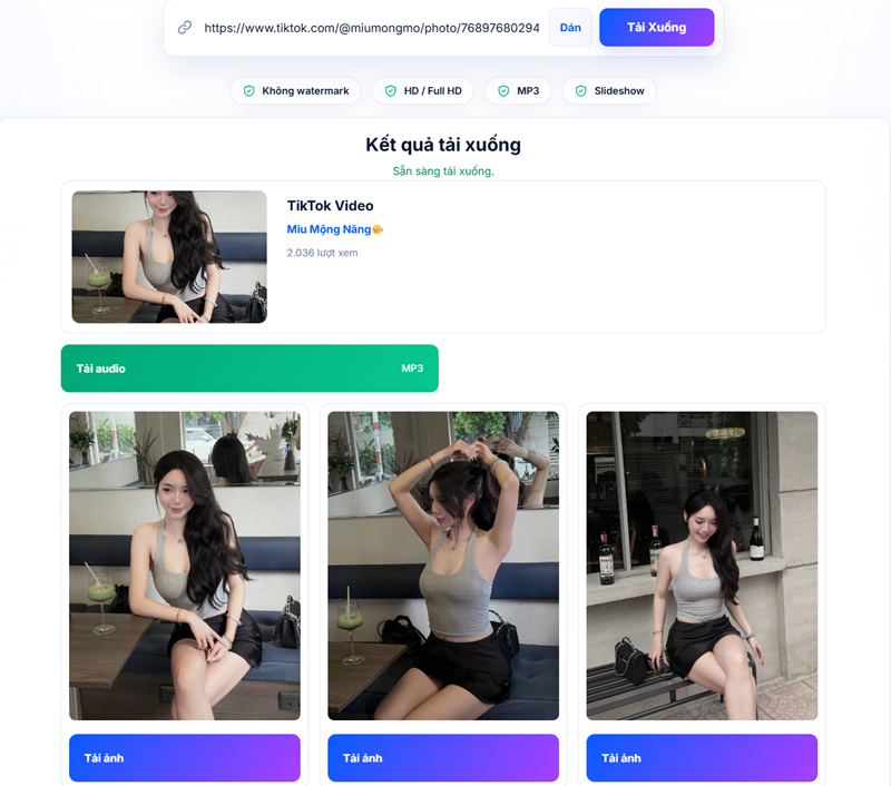 tải nhạc TikTok bằng SnapTik